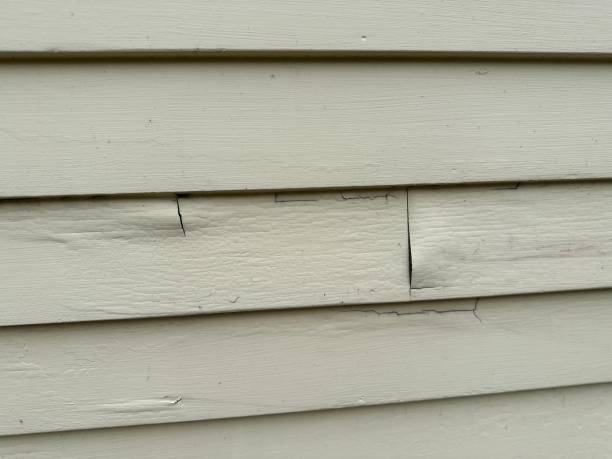 Historical Building Siding Restoration in Benton, TN